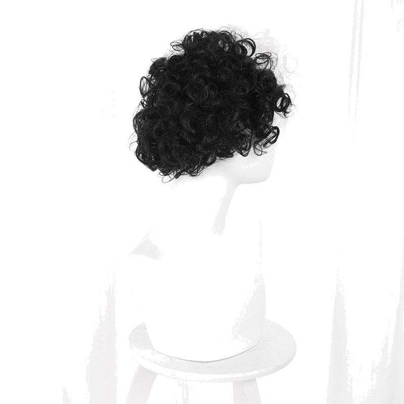 Cruella de Vil Black-white Cosplay Wig for Cruella - 405N - Image 2