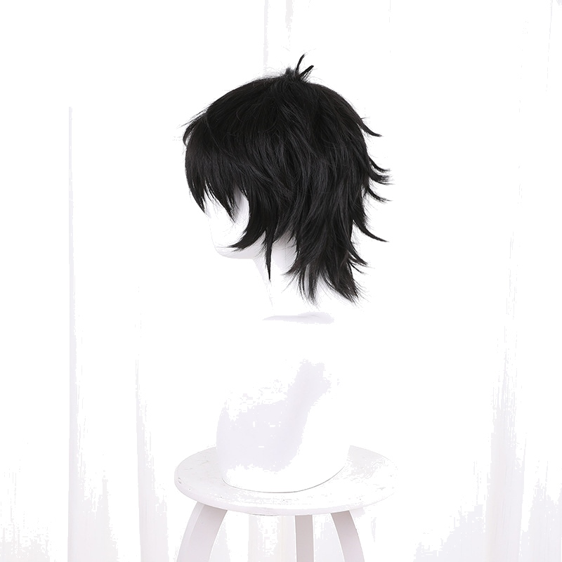 Naofumi Iwatani Short Cosplay Wig for The Rising of the Shield Hero - 538A