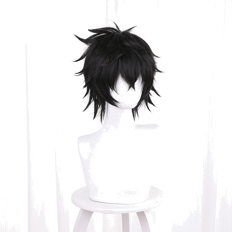 Naofumi Iwatani Short Cosplay Wig for The Rising of the Shield Hero - 538A - Image 2