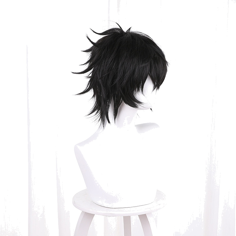 Naofumi Iwatani Short Cosplay Wig for The Rising of the Shield Hero - 538A - Image 3