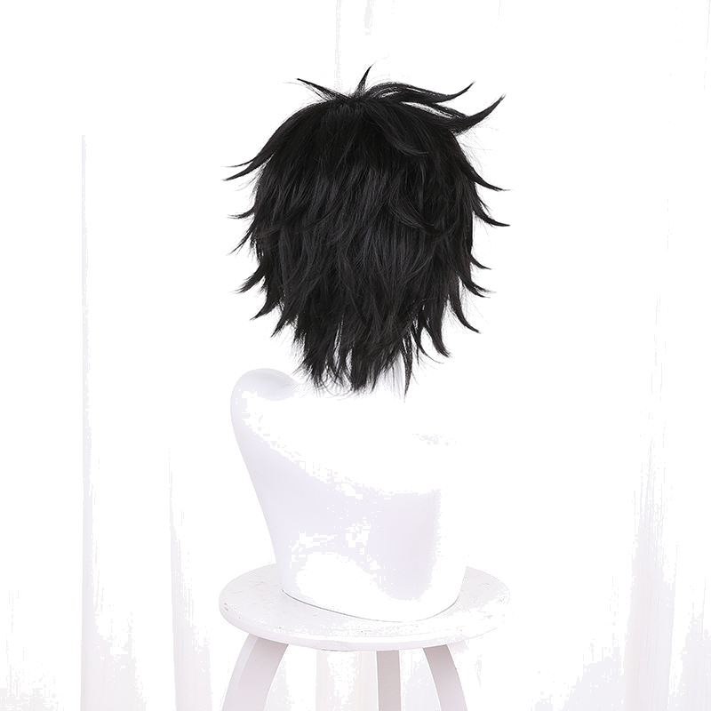 Naofumi Iwatani Short Cosplay Wig for The Rising of the Shield Hero - 538A - Image 4