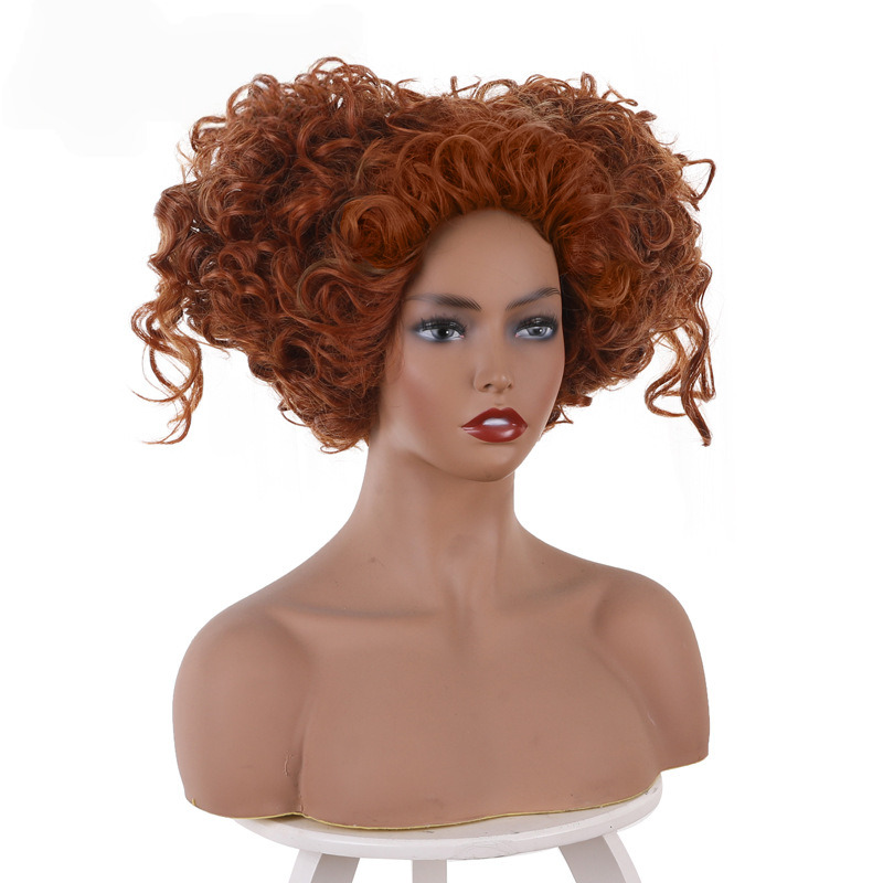 Winifred Sanderson Brown Updo Cosplay Wig for Hocus Pocus 2 - 405S - Image 2