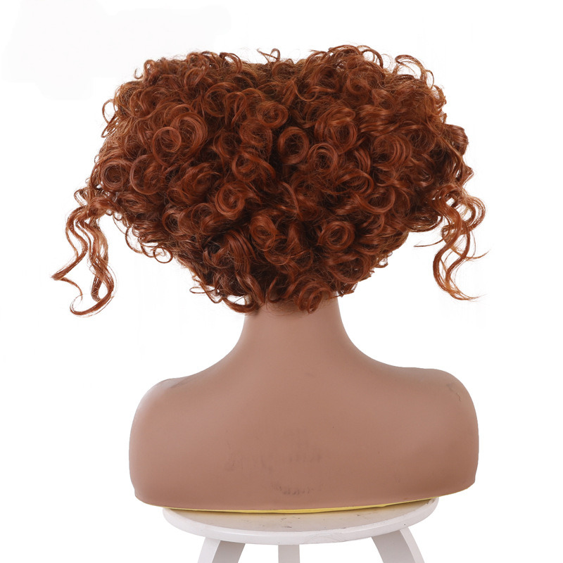 Winifred Sanderson Brown Updo Cosplay Wig for Hocus Pocus 2 - 405S - Image 4