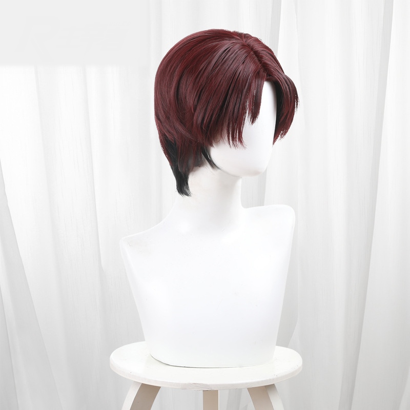 Hayato Suo Gradient Scalp-top Short Styled Cosplay Wig for Wind Breaker - 578B - Image 2