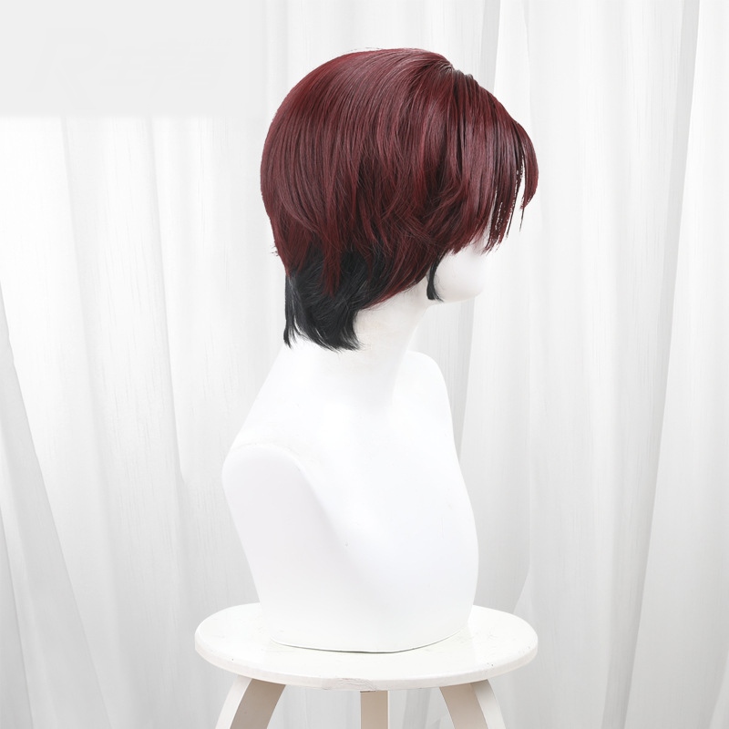 Hayato Suo Gradient Scalp-top Short Styled Cosplay Wig for Wind Breaker - 578B - Image 3