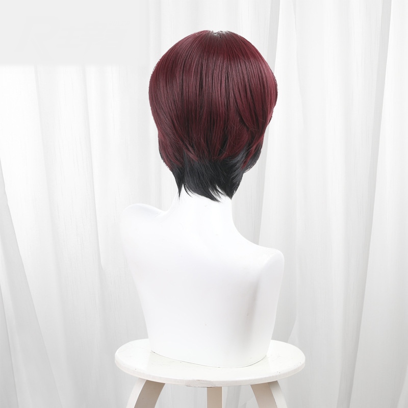 Hayato Suo Gradient Scalp-top Short Styled Cosplay Wig for Wind Breaker - 578B - Image 4