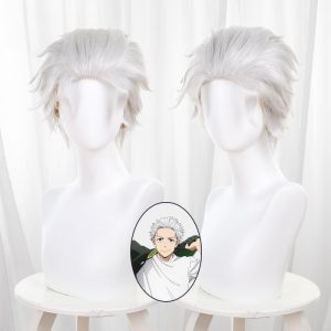 Hajime Umemiya Silver-white Slicked-back Short Styled Cosplay Wig for Wind Breaker - 578E